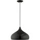 Allison 1 Light 14 inch Shiny Black Mini Pendant Ceiling Light