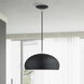 Domma 1 Light 14 inch Black with Brushed Nickel Accents Pendant Ceiling Light