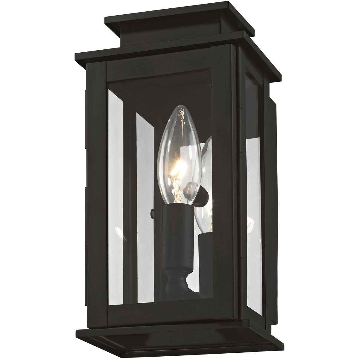 Princeton 1 Light 9 inch Black Outdoor Wall Lantern