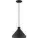 Allison 1 Light 11 inch Black Mini Pendant Ceiling Light