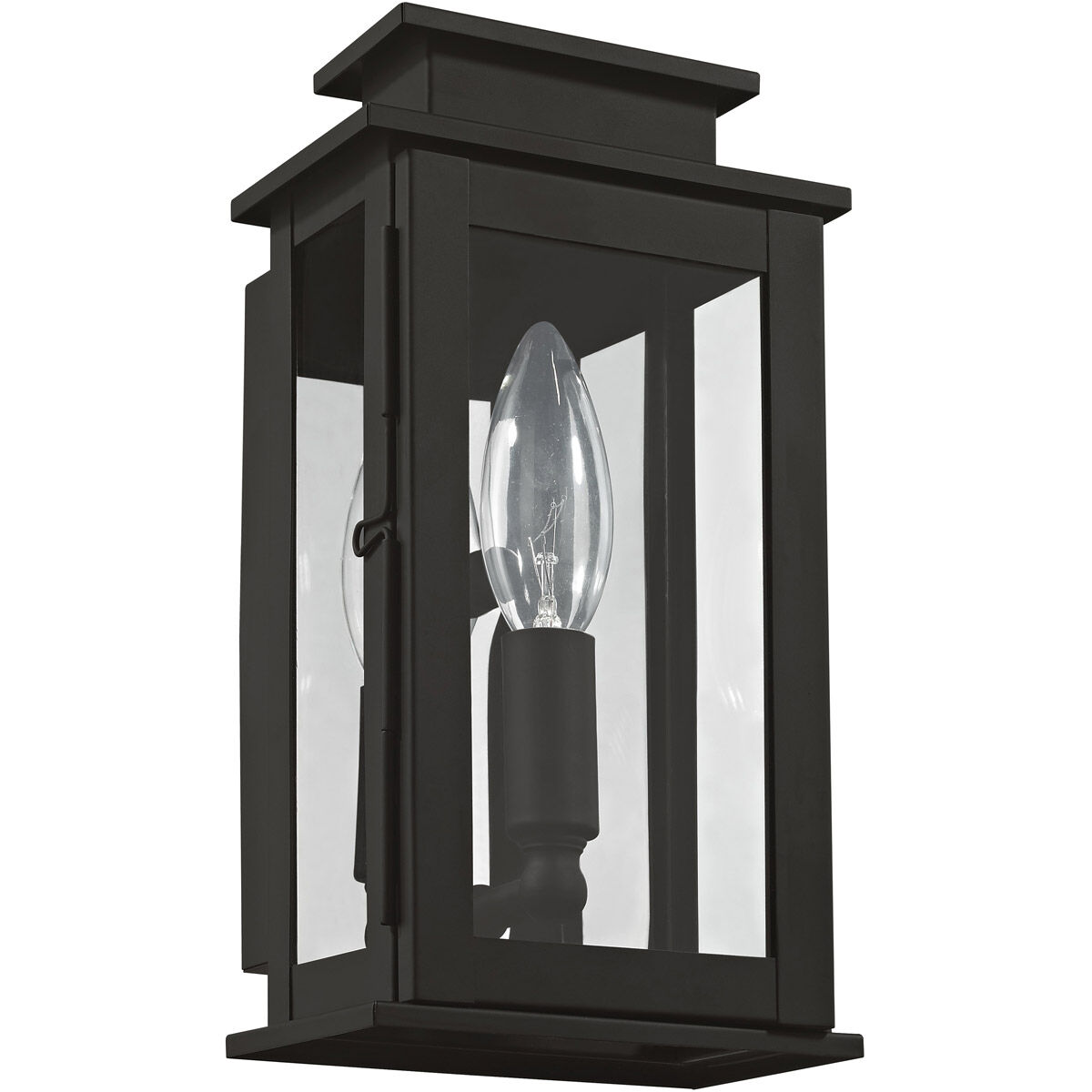 Princeton 1 Light 9 inch Black Outdoor Wall Lantern