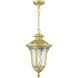Oxford 1 Light 9.5 inch Soft Gold Outdoor Pendant Lantern, Medium