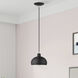 Domma 1 Light 8 inch Black with Brushed Nickel Accents Mini Pendant Ceiling Light