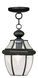 Monterey 1 Light 9 inch Black Outdoor Pendant Lantern 