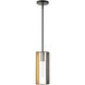 Soma 1 Light 5 inch Textured Black with Brushed Nickel Accents Pendant Ceiling Light