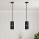 Acordia 1 Light 5.13 inch Black Mini Pendant Ceiling Light