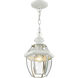 Monterey 1 Light 8.5 inch White Outdoor Pendant Lantern