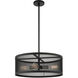 Industro 4 Light 20 inch Black with Brushed Nickel Accents Chandelier Ceiling Light