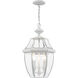 Monterey 3 Light 12.5 inch White Outdoor Pendant Lantern