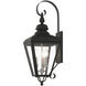 Adams 3 Light 10.63 inch Black with Brushed Nickel Finish Cluster Outdoor Large Wall Lantern Wall Light