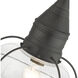 Newburyport 1 Light 11 inch Charcoal Outdoor Pendant Lantern