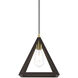 Pinnacle 1 Light 10 inch Bronze with Antique Brass Accents Pendant Ceiling Light