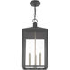 Nyack 3 Light 11 inch Scandinavian Gray Outdoor Pendant Lantern