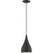 Amador 1 Light 6.25 inch Textured Black with Antique Brass Accents Mini Pendant Ceiling Light
