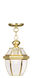 Monterey 1 Light 9 inch Polished Brass Outdoor Pendant Lantern
