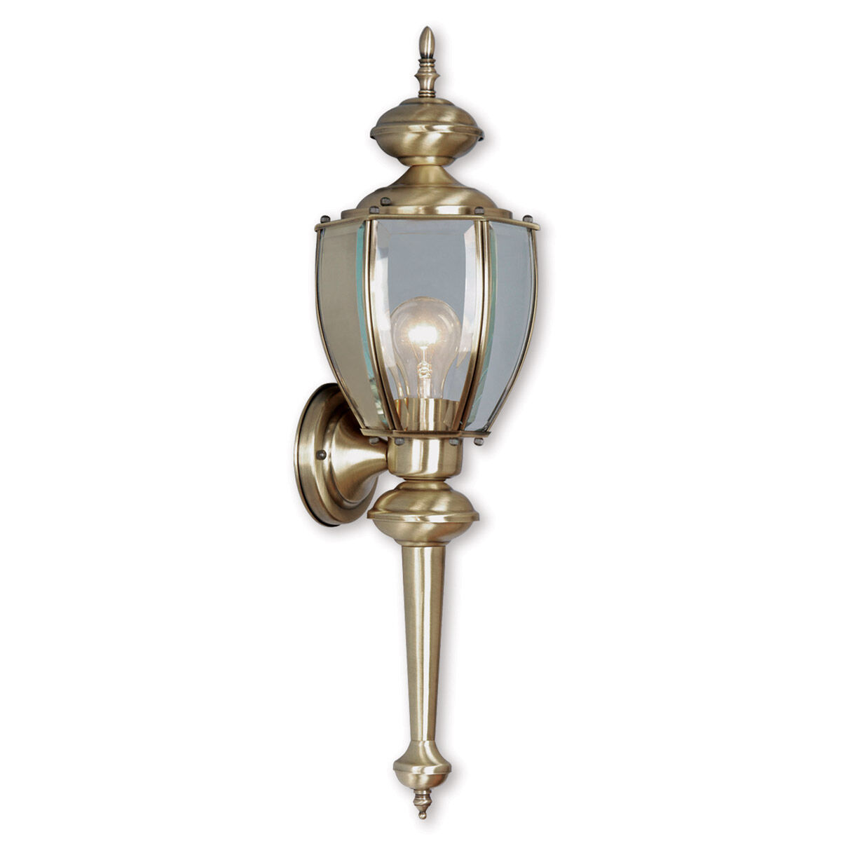 Outdoor Basics 1 Light 25 inch Antique Brass Outdoor Wall Lantern
