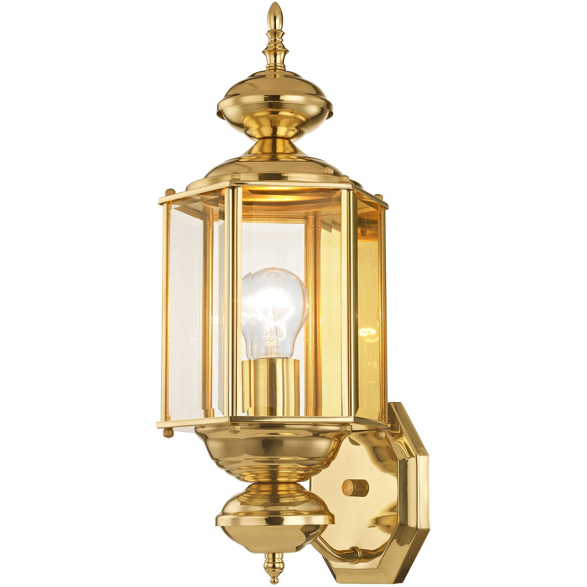 Outdoor Basics 1 Light 17 inch Polished Brass Outdoor Wall Lantern