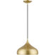 Amador 1 Light 12 inch Soft Gold with Polished Brass Accents Pendant Ceiling Light