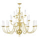 Williamsburgh 22 Light 42 inch Polished Brass Chandelier Ceiling Light