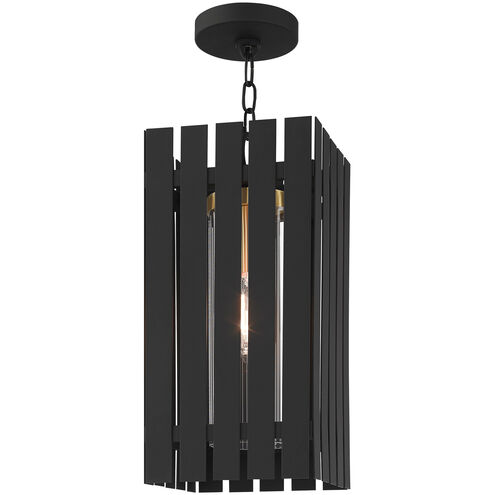 Greenwich 1 Light 8 inch Black with Satin Brass Accents Outdoor Pendant Lantern