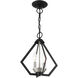 Prism 2 Light 11 inch Black with Brushed Nickel Cluster Convertible Semi Flush/Pendant Ceiling Light