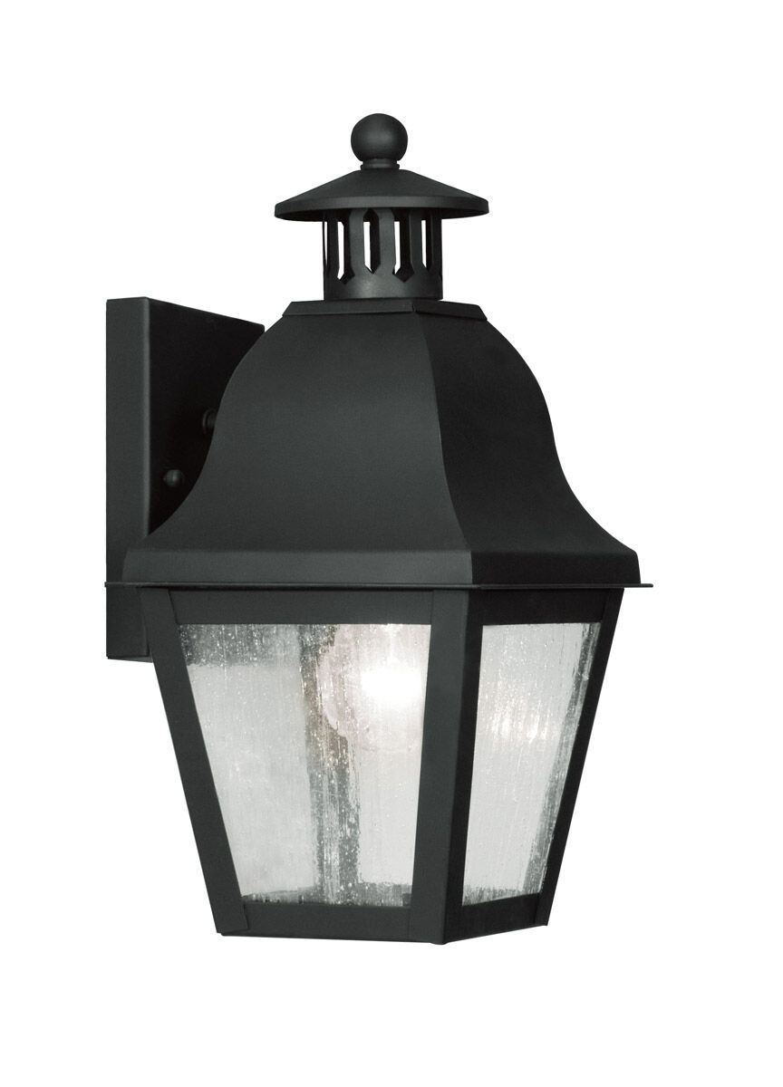 Amwell 1 Light 14 inch Black Outdoor Wall Lantern