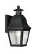 Amwell 1 Light 14 inch Black Outdoor Wall Lantern
