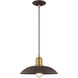 Allison 1 Light 13 inch Bronze Mini Pendant Ceiling Light