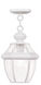 Monterey 1 Light 8.5 inch White Outdoor Pendant Lantern