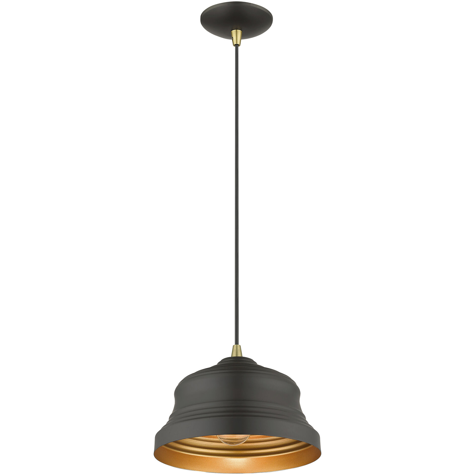 Endicott 1 Light 10 inch Bronze with Antique Brass Finish Accents Pendant Ceiling Light in Bronze with Antique Brass Accent