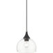 Glendon 1 Light 8.25 inch Black with Brushed Nickel Accents Glass Pendant Ceiling Light