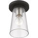 Cityview 1 Light 5 inch Black with Brushed Nickel Accents Small Flush Mount Ceiling Light, Small