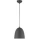 Arlington 1 Light 10 inch Scandinavian Gray with Brushed Nickel Accents Pendant Ceiling Light