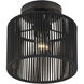 Acordia 1 Light 8.5 inch Black Semi Flush Mount Ceiling Light, Small