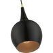 Andes 1 Light 8 inch Shiny Black with Polished Brass Accents Mini Pendant Ceiling Light