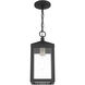 Nyack 1 Light 6 inch Black with Brushed Nickel Cluster Outdoor Pendant Lantern
