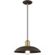 Allison 1 Light 13 inch Bronze Mini Pendant Ceiling Light