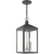 Nyack 3 Light 8.25 inch Scandinavian Gray Outdoor Pendant Lantern