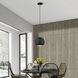 Kuppola 9.25 inch Black with Brushed Nickel Accents Globe Pendant Ceiling Light, Globe