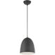 Arlington 1 Light 10 inch Scandinavian Gray with Brushed Nickel Accents Pendant Ceiling Light