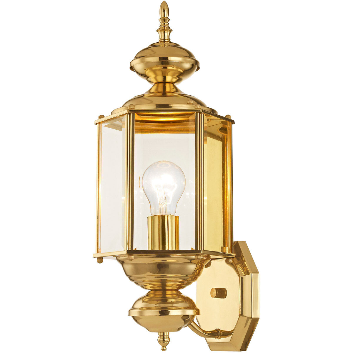 Outdoor Basics 1 Light 17 inch Polished Brass Outdoor Wall Lantern