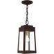 Oslo 1 Light 6 inch Bronze Outdoor Pendant Lantern