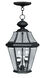 Georgetown 2 Light 10 inch Black Outdoor Pendant Lantern