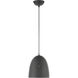 Arlington 1 Light 10 inch Scandinavian Gray with Brushed Nickel Accents Pendant Ceiling Light