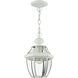 Monterey 1 Light 8.5 inch White Outdoor Pendant Lantern