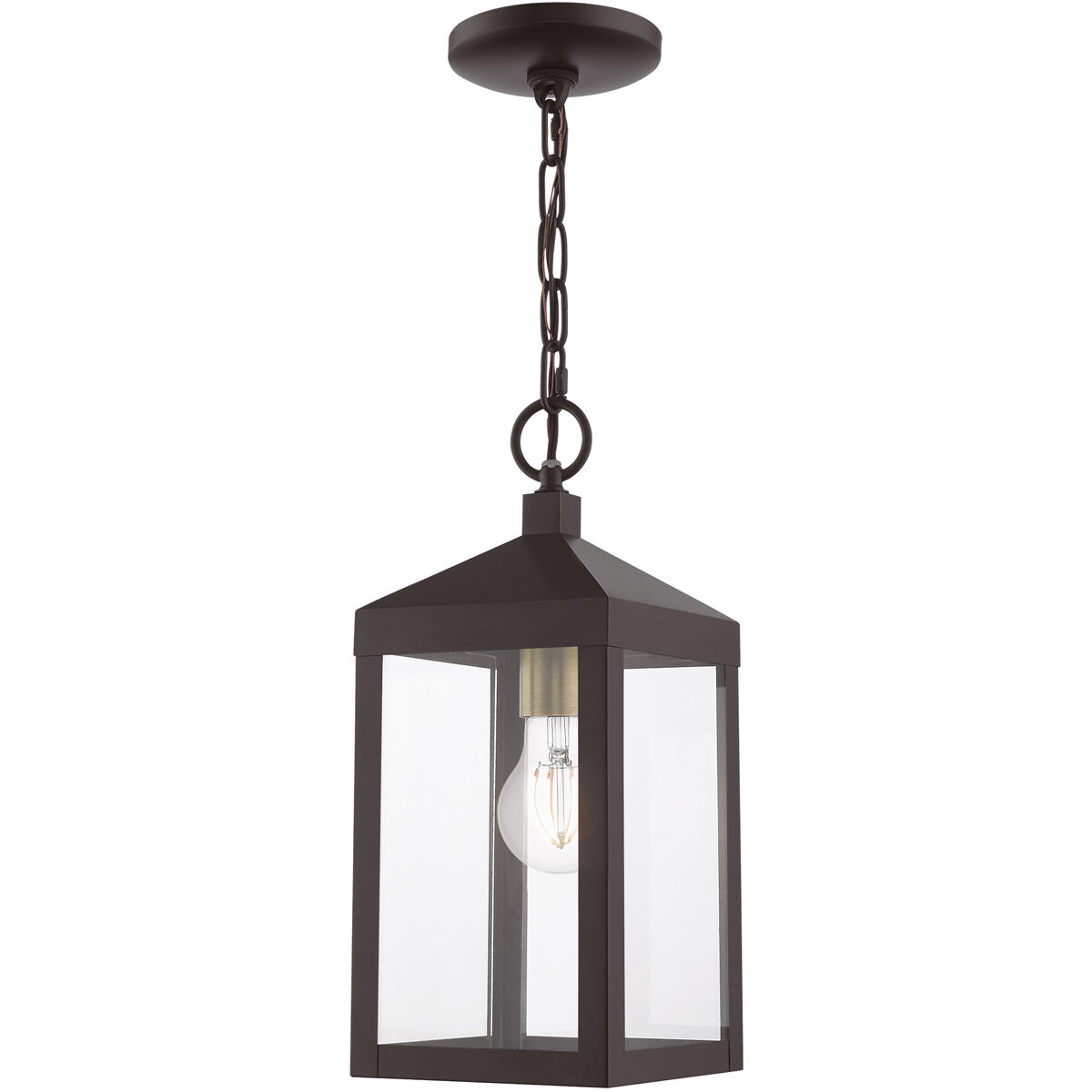 Nyack 1 Light 6 inch Bronze with Antique Brass Cluser Outdoor Pendant Lantern