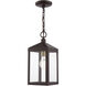 Nyack 1 Light 6 inch Bronze with Antique Brass Cluser Outdoor Pendant Lantern
