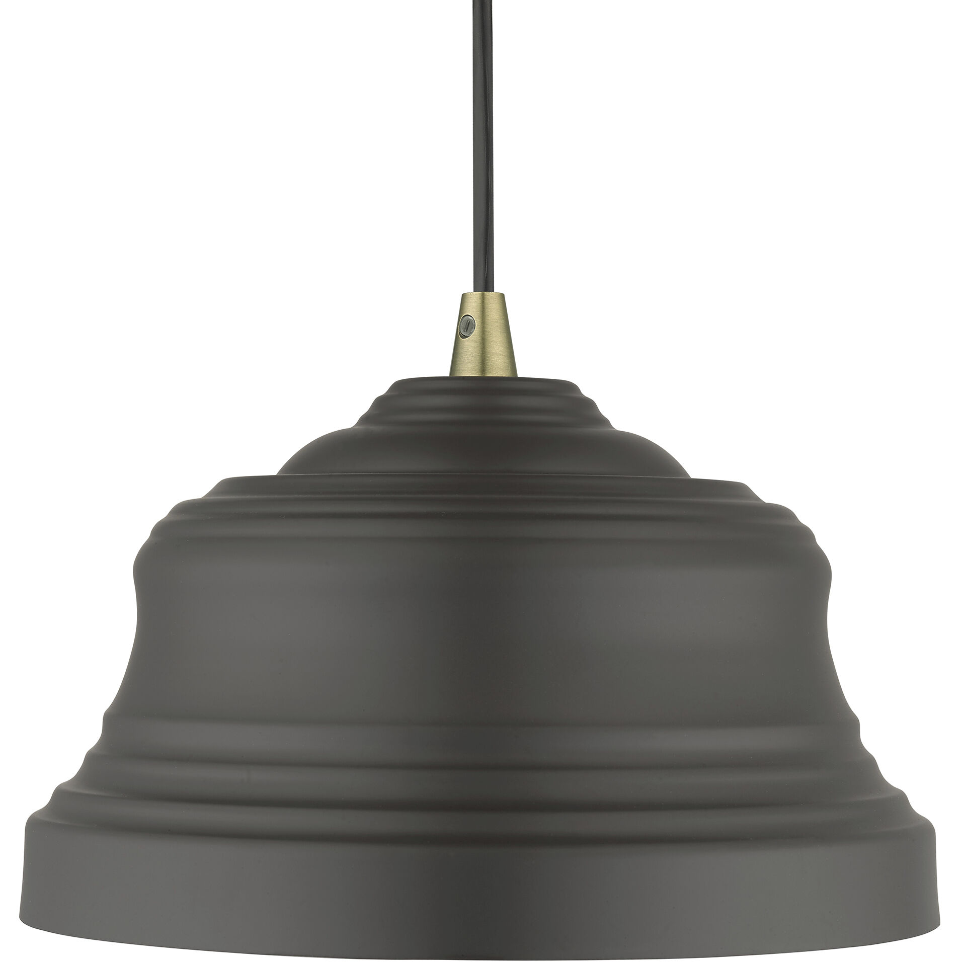 Endicott 1 Light 10 inch Bronze with Antique Brass Finish Accents Pendant Ceiling Light in Bronze with Antique Brass Accent