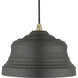 Endicott 1 Light 10 inch Bronze with Antique Brass Finish Accents Pendant Ceiling Light in Bronze with Antique Brass Accent