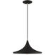 Allison 1 Light 14 inch Black Mini Pendant Ceiling Light